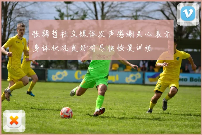 张稀哲社交媒体发声感谢关心表示身体状况良好将尽快恢复训练
